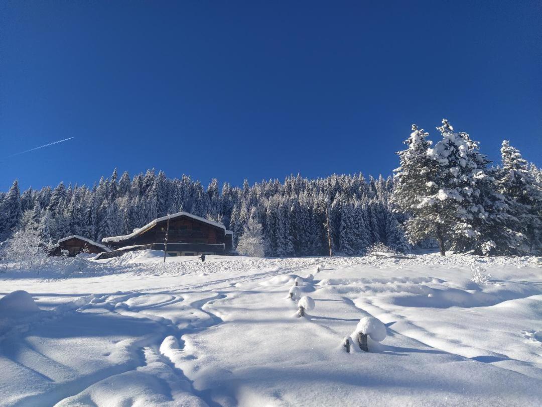 Chalet Lisa Morzine Dış mekan fotoğraf